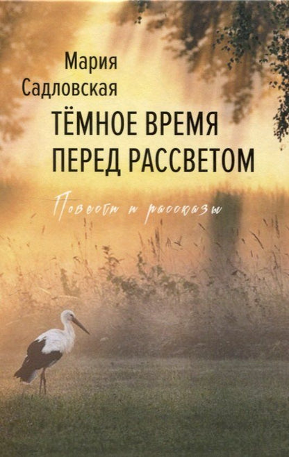 Обложка книги "Мария Садловская: Тёмное время перед рассветом"