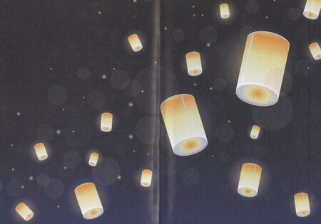 Фотография книги "Мария Заболотская: Красавица, чудовище и волшебник без лицензии"