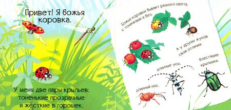 Фотография книги "Мария Жученко: Знакомься, я букашка"