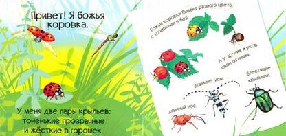 Фотография книги "Мария Жученко: Знакомься, я букашка"