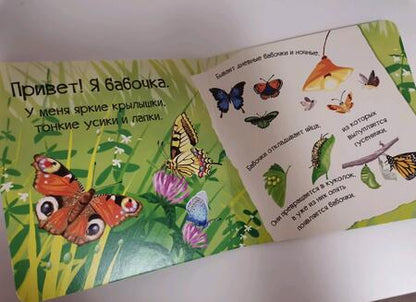 Фотография книги "Мария Жученко: Знакомься, я букашка"