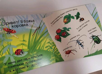 Фотография книги "Мария Жученко: Знакомься, я букашка"