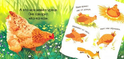 Фотография книги "Мария Жученко: Знакомься, я цыпленок"