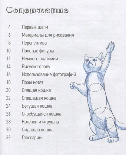 Фотография книги "Марк Бёрджин: Школа рисования. Кошки"