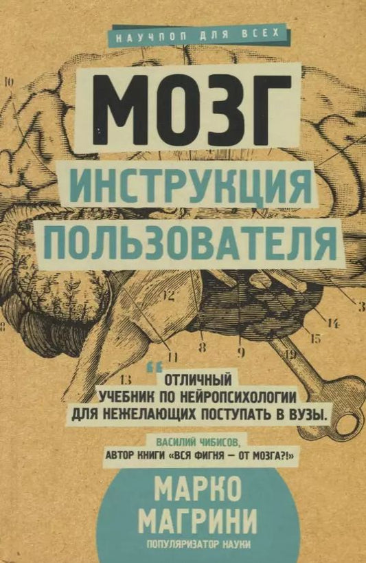 Обложка книги "Марко Магрини: Мозг. Инструкция пользователя"