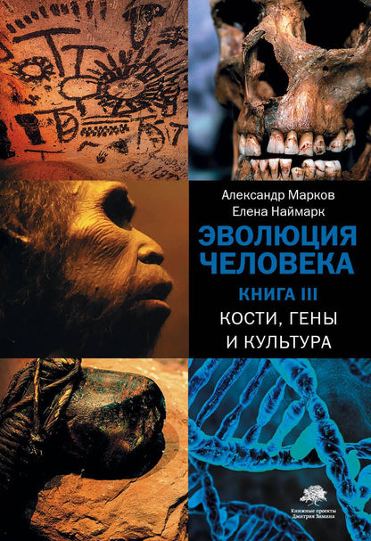 Обложка книги "Марков, Наймарк: Эволюция человека. В 3-х книгах. Книга 3. Кости, гены и культура"