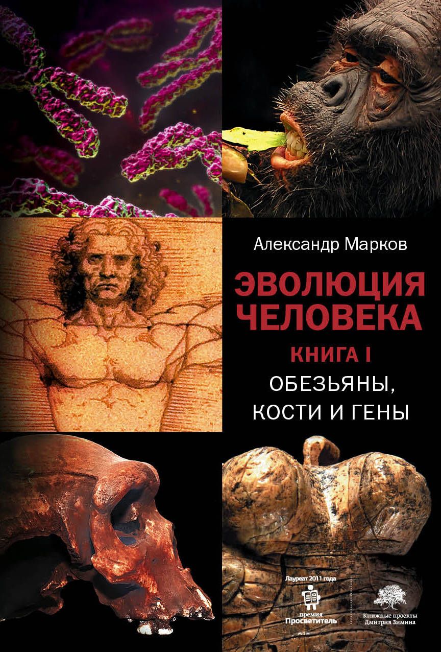 Обложка книги "Марков, Наймарк: Эволюция человека. В 3 книгах. Книга 1. Обезьяны, кости и гены"