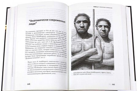Фотография книги "Марков, Наймарк: Эволюция человека. В 3 книгах. Книга 1. Обезьяны, кости и гены"