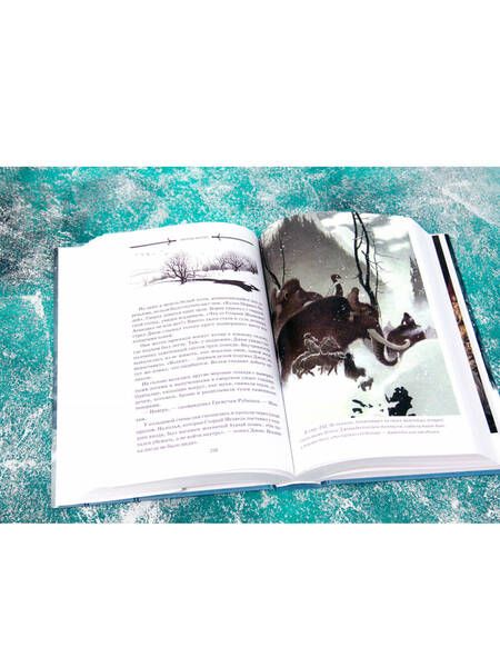 Фотография книги "Мартин: Буря мечей. Том 1"