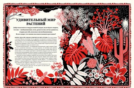 Фотография книги "Мартин Дженкинс: Мир растений"