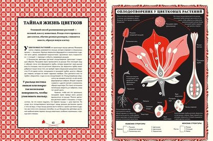 Фотография книги "Мартин Дженкинс: Мир растений"