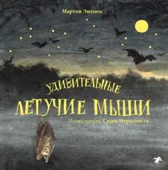 Обложка книги "Мартин Эмтенес: Удивительные летучие мыши"