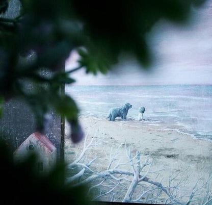 Фотография книги "Мартин Видмарк: Долгое путешествие"