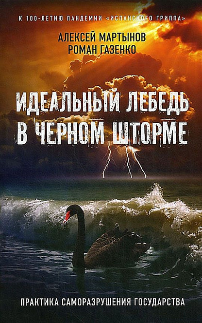 Обложка книги "Мартынов, Газенко: Идеальный лебедь в черном шторме. Практика саморазрушения государства"
