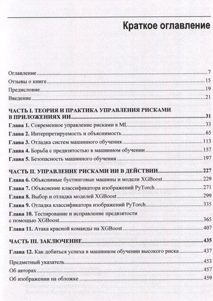 Фотография книги "Машинное обучение для приложений высокого риска"