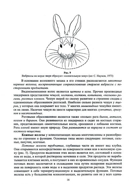 Фотография книги "Машкин, Ларионова, Шевнина: Звери России. Учебное пособие"