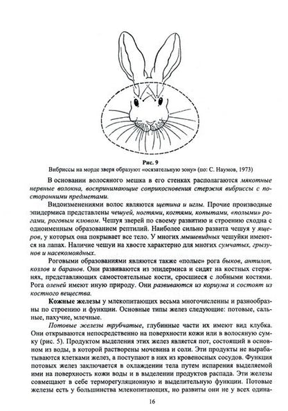 Фотография книги "Машкин, Ларионова, Шевнина: Звери России. Учебное пособие"