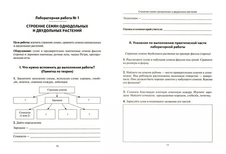 Фотография книги "Маскаева, Шмарковская: Биология. Раздел "Ботаника". Лабораторный практикум для основной школы. Часть 2"