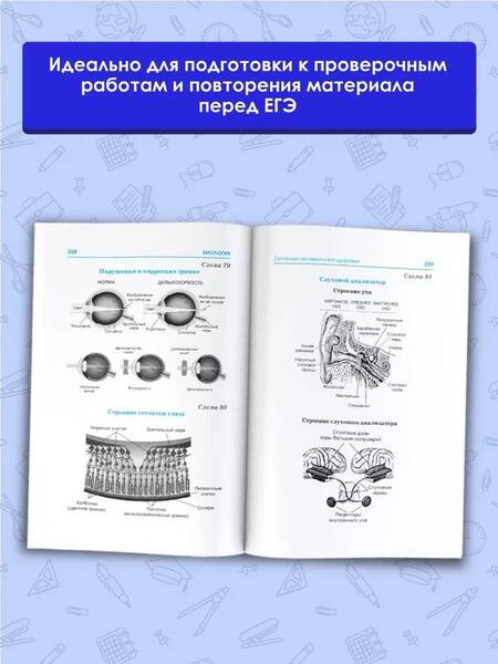 Фотография книги "Маталин: Биология. Весь школьный курс в таблицах и схемах для подготовки к ЕГЭ"