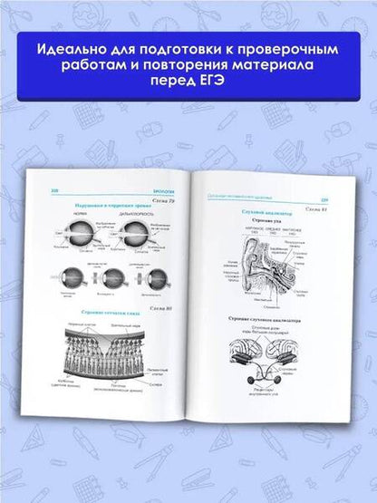 Фотография книги "Маталин: Биология. Весь школьный курс в таблицах и схемах для подготовки к ЕГЭ"