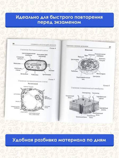 Фотография книги "Маталин, Скворцов, Банколе: Биология. Готовимся к ОГЭ за 30 дней"
