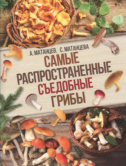 Обложка книги "Матанцева, Матанцев: Самые распространенные съедобные грибы"