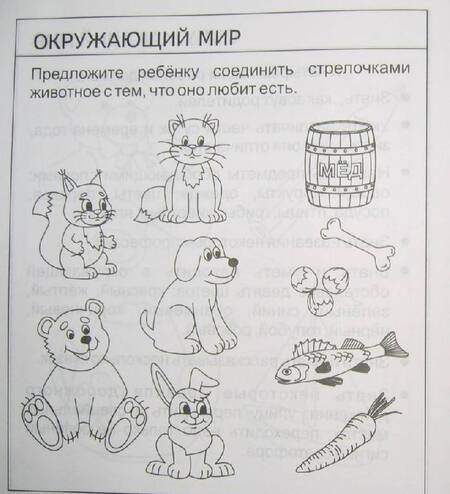 Фотография книги "Математика, развитие речи, окружающий мир. Часть 1. Тетрадь для рисования. Для детей 4 лет"