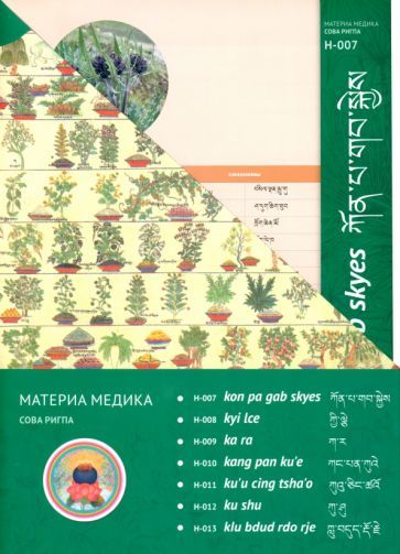 Обложка книги "Материа медика сова ригпа. Набор карточек №2"