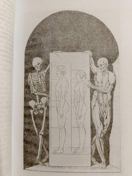 Фотография книги "Матиас-Мария Дюваль: Анатомия для художников. Учебное пособие"