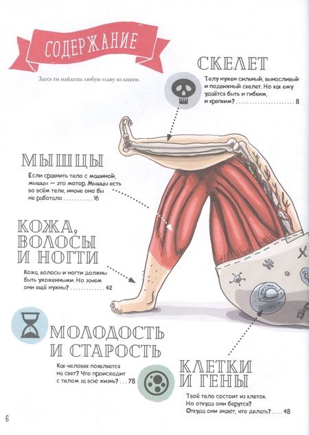 Фотография книги "Матс Вэнблад: Как устроено Человеческое тело. От клетки до сердца"