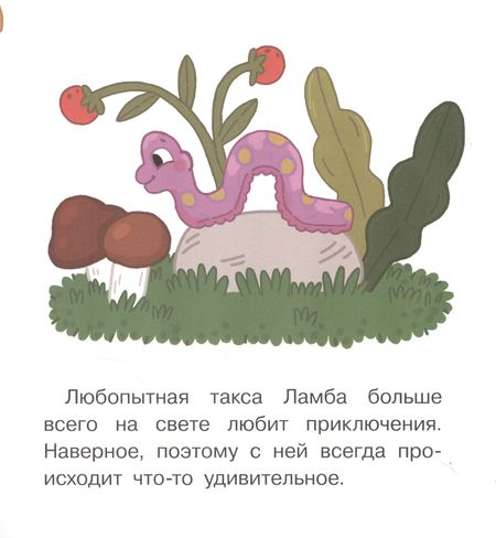 Фотография книги "Матвеева: Спасатели. Книжка-картинка для первого чтения"