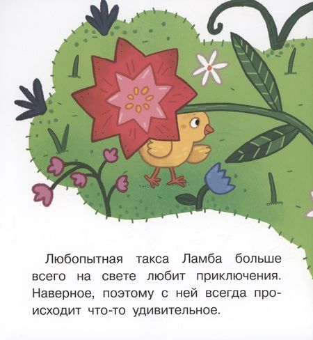 Фотография книги "Матвеева Елена: Хочу летать!"