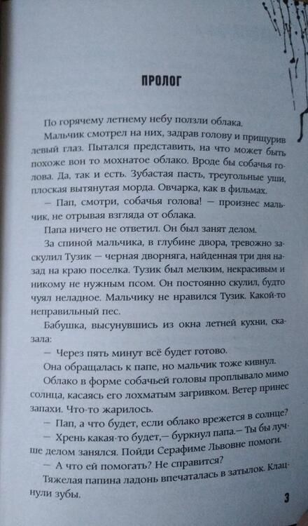 Фотография книги "Матюхин: Кладбище ведьм"