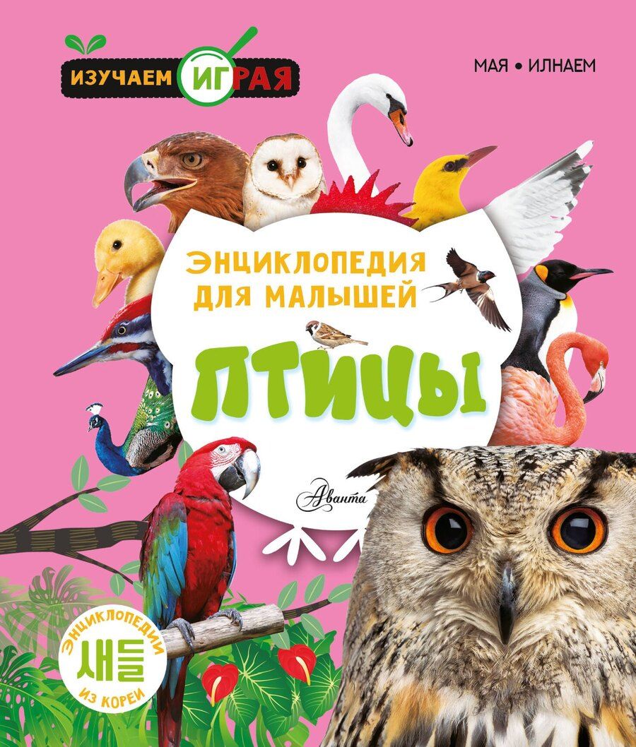 Обложка книги "Мая: Птицы"