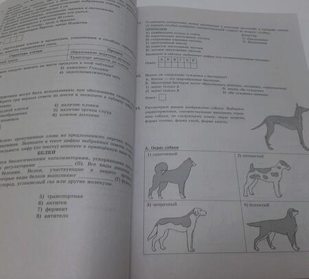 Фотография книги "Мазяркина, Первак: ОГЭ-2024. Биология. 15 вариантов. Типовые варианты экзаменационных заданий"