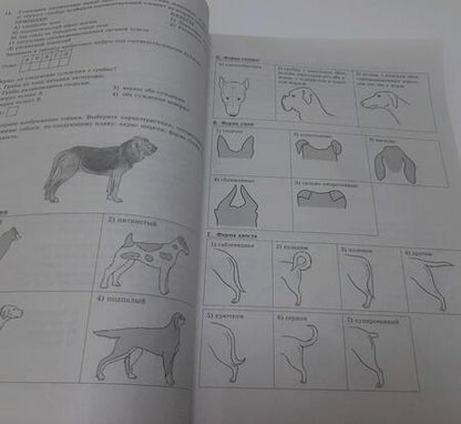 Фотография книги "Мазяркина, Первак: ОГЭ-2024. Биология. 15 вариантов. Типовые варианты экзаменационных заданий"