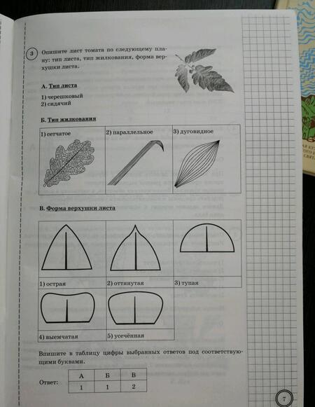 Фотография книги "Мазяркина, Первак: ВПР. Биология. 5 класс. Типовые задания. ФГОС"