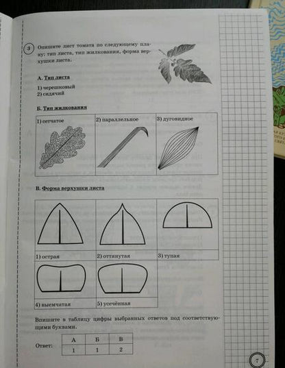 Фотография книги "Мазяркина, Первак: ВПР. Биология. 5 класс. Типовые задания. ФГОС"