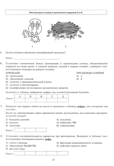 Фотография книги "Мазяркина, Первак: ЕГЭ-2024. Биология. 32 варианта. Типовые варианты экзаменационных заданий от разработчиков ЕГЭ"