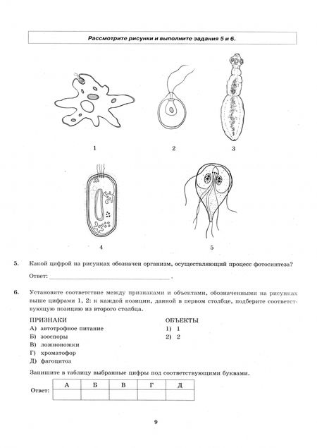 Фотография книги "Мазяркина, Первак: ЕГЭ-2025. Биология. 12 вариантов. Типовые варианты экзаменационных заданий"