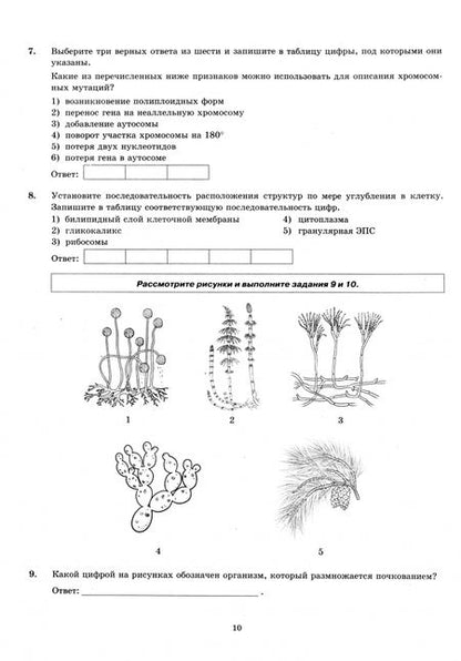 Фотография книги "Мазяркина, Первак: ЕГЭ-2025. Биология. 12 вариантов. Типовые варианты экзаменационных заданий"