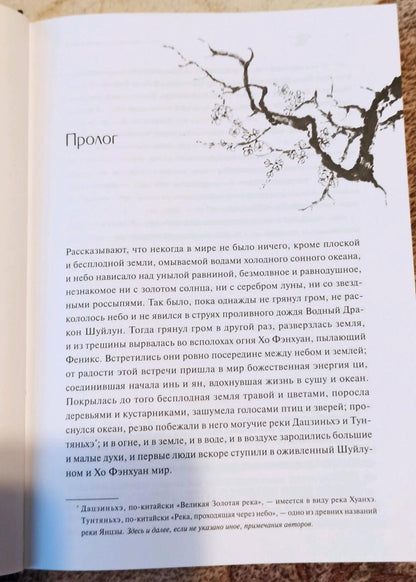 Фотография книги "Меч в ножнах из дикой сливы"