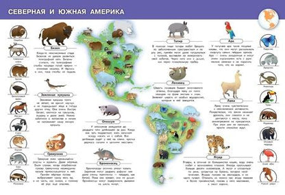 Фотография книги "Медов: Животные нашей планеты. Моя первая энциклопедия с наклейками"
