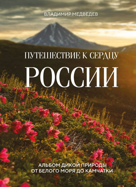 Обложка книги "Медведев: Путешествие к сердцу России. Альбом дикой природы от Белого моря до Камчатки"