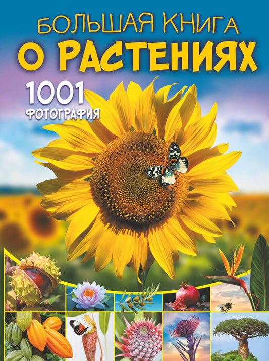 Обложка книги "Медведев, Спектор: Большая книга о растениях. 1001 фотография"