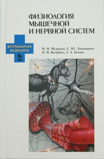 Обложка книги "Медведев, Завалишина, Кутафина: Физиология мышечной и нервной систем. Учебное пособие"