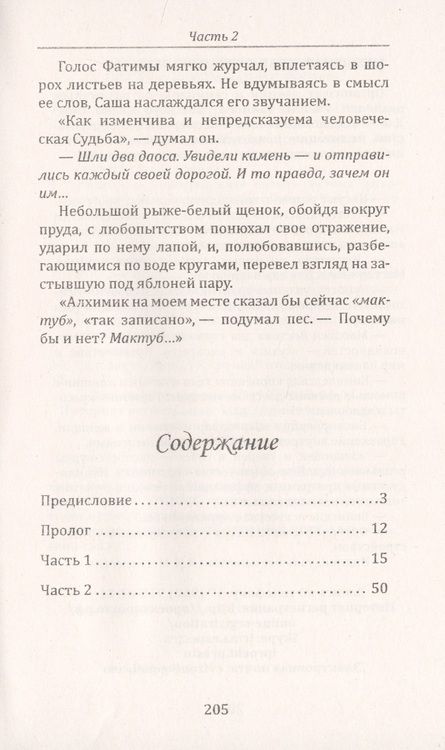 Фотография книги "Медведева, Медведева: Всадник на спине ветра или о чем умолчал "Алхимик""