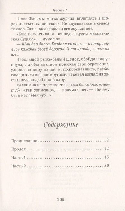 Фотография книги "Медведева, Медведева: Всадник на спине ветра или о чем умолчал "Алхимик""