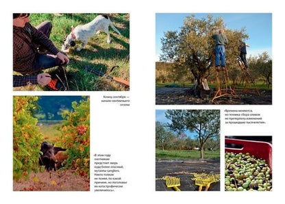 Фотография книги "Мейл: Еще один год в Провансе"
