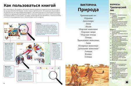 Фотография книги "Мейсон: Интерактивная энциклопедия в вопросах и ответах"